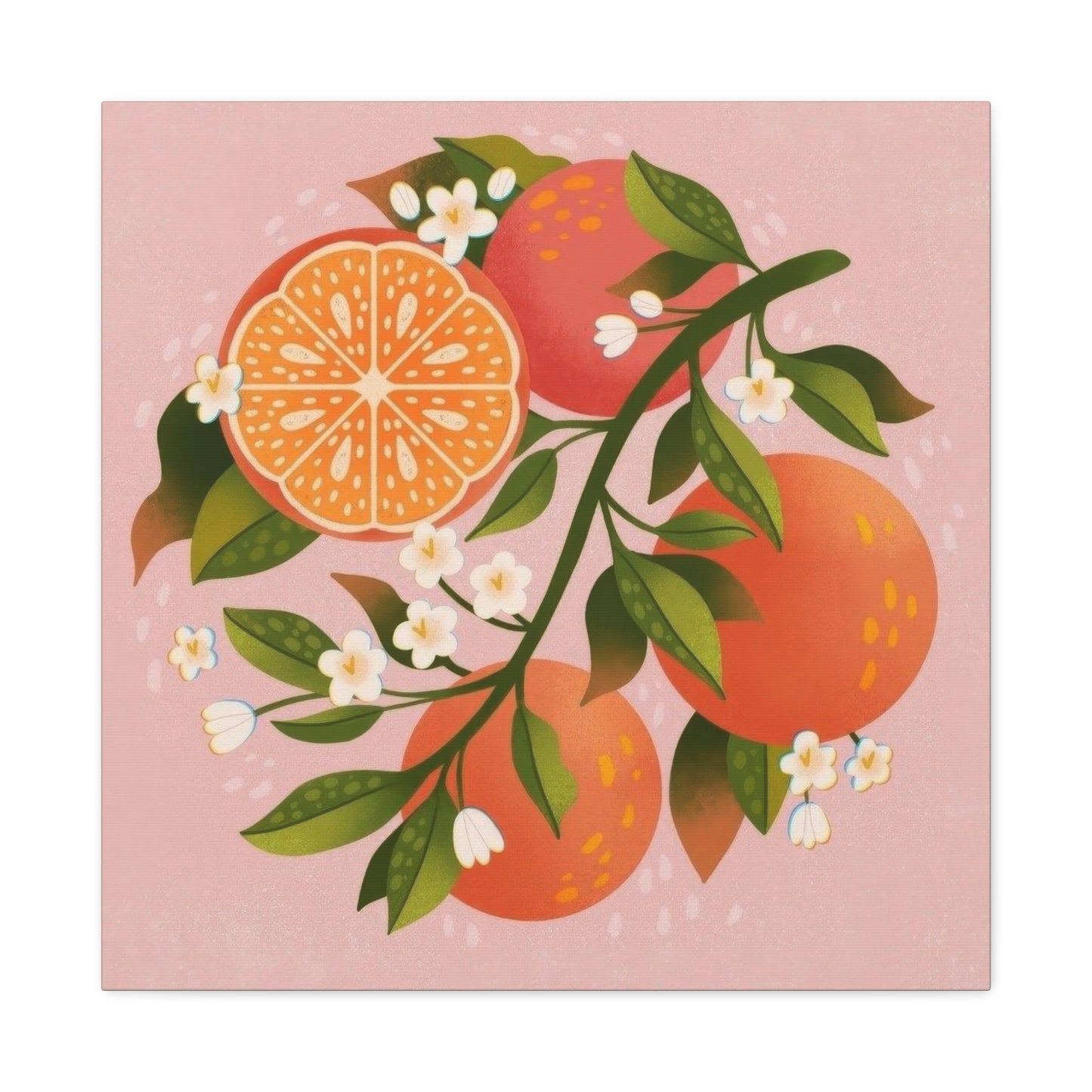 Oranges Pink BG Wall Art & Canvas Prints
