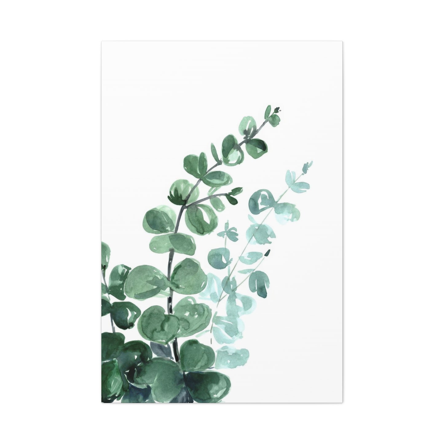 Eucalyptus Emerging Bottom Left Wall Art & Canvas Prints