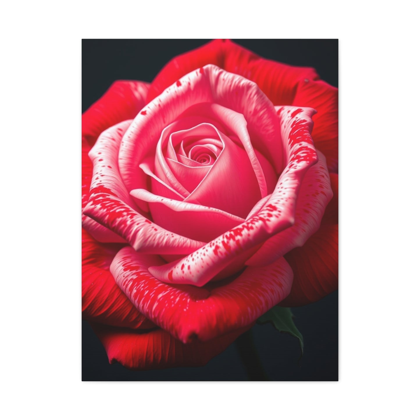Collection Rose Flower Art Art Wall Art & Canvas Print