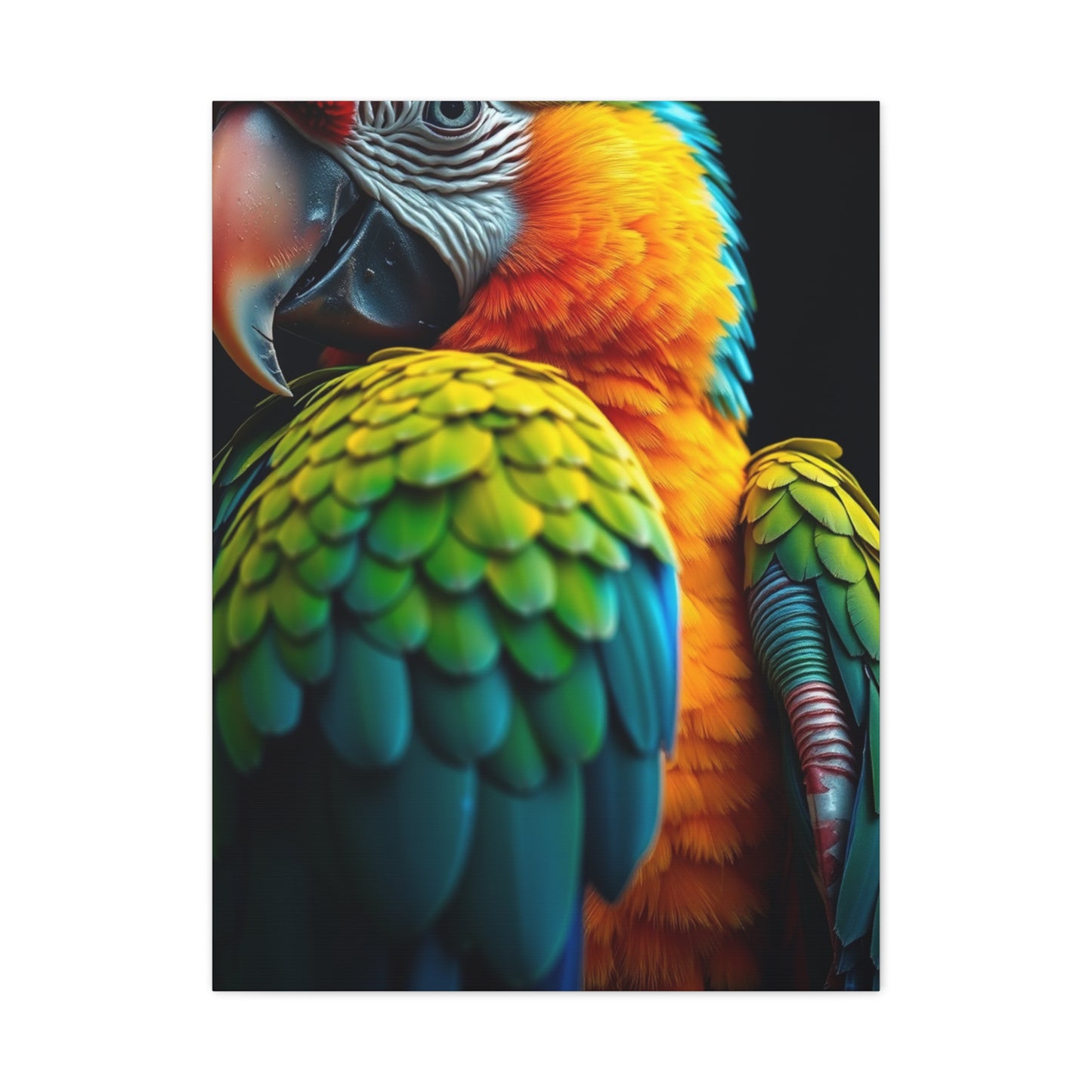 Collection Parrot Art Art Wall Art & Canvas Print