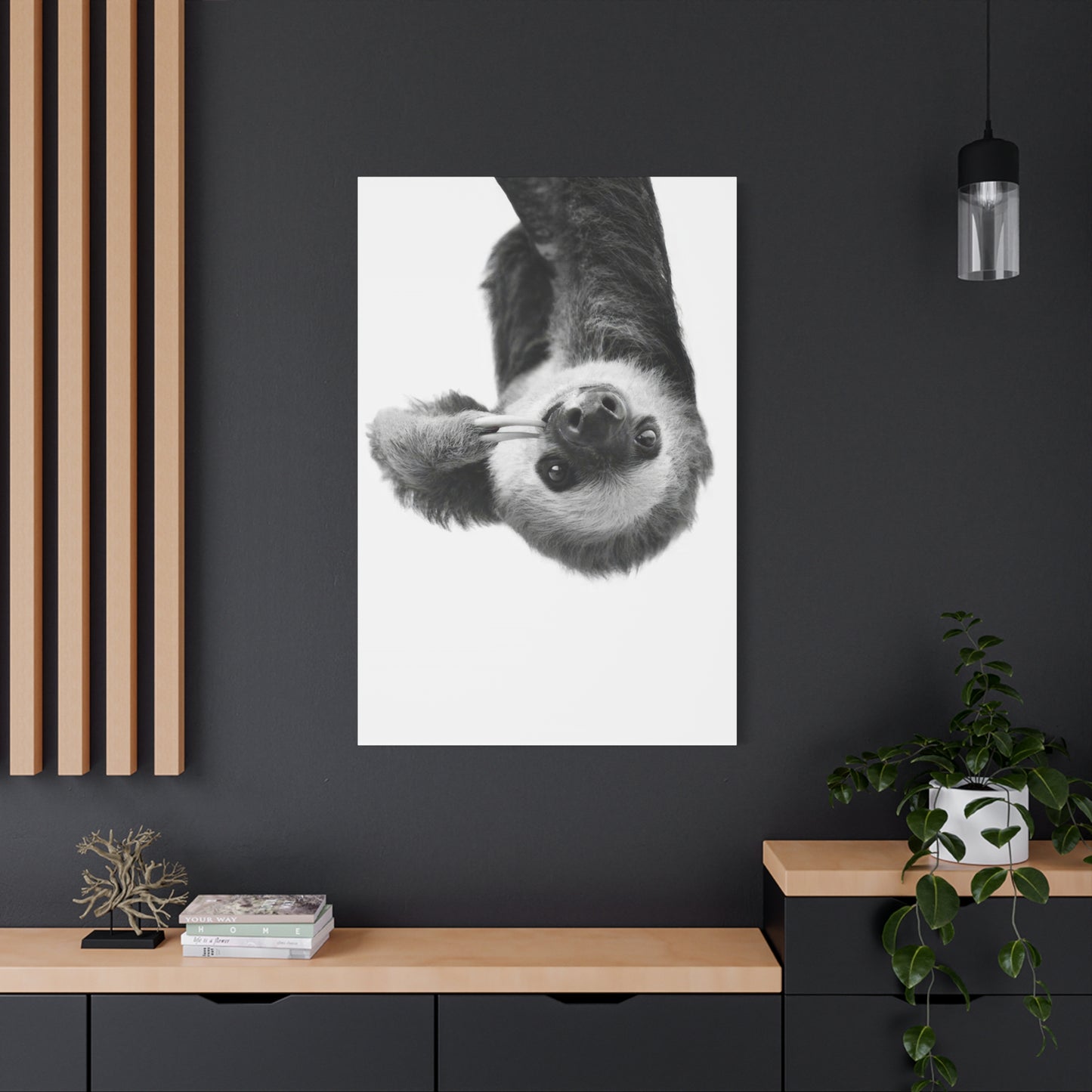 Kathrin Pienaar Sloth Wall Art & Canvas Prints