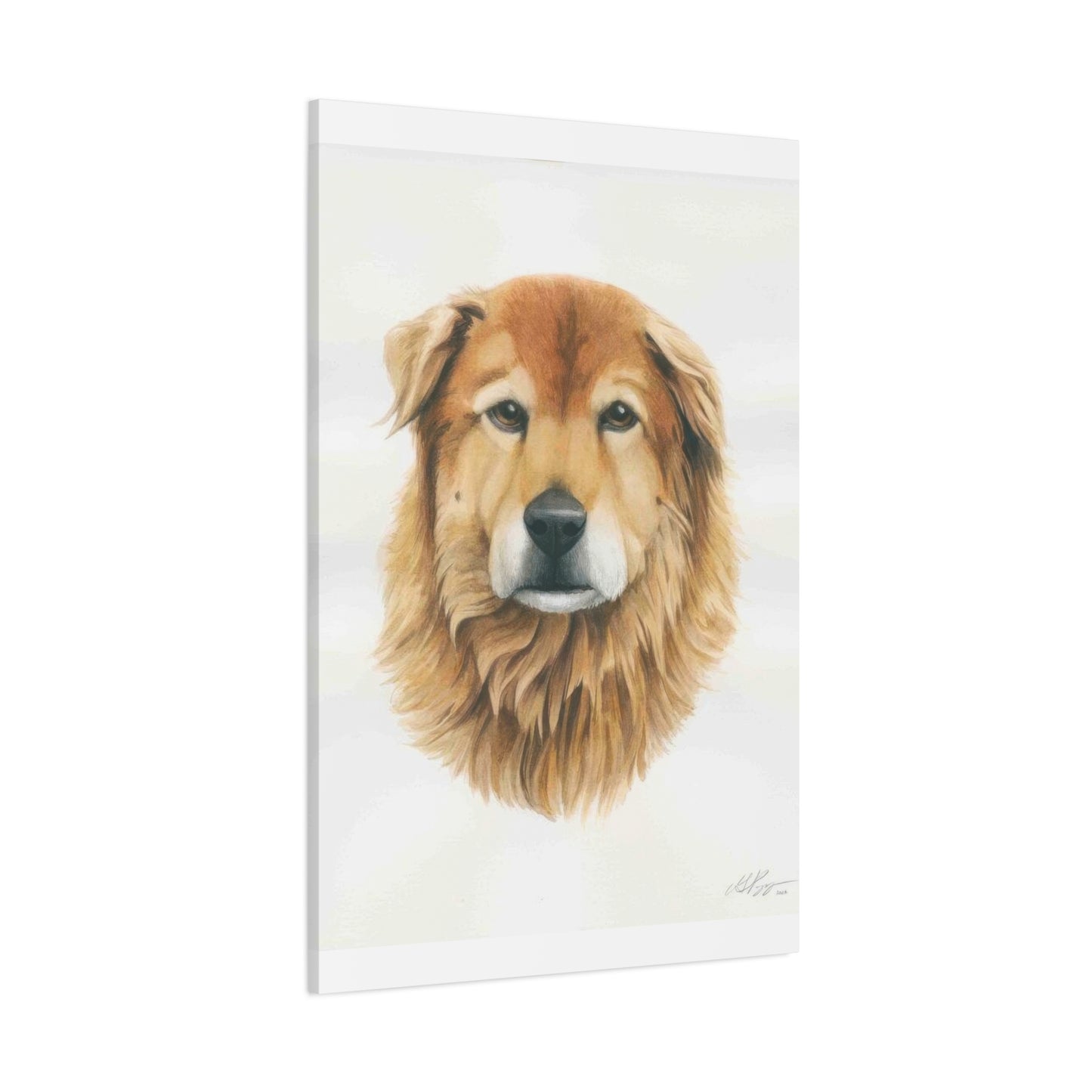 Grace Pop Furry Dog Wall Art & Canvas Prints