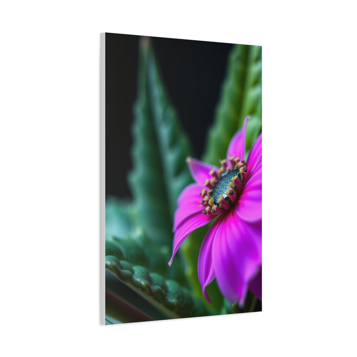 Nature Closeups Art Refined Canvas Wall Art & Canvas Print
