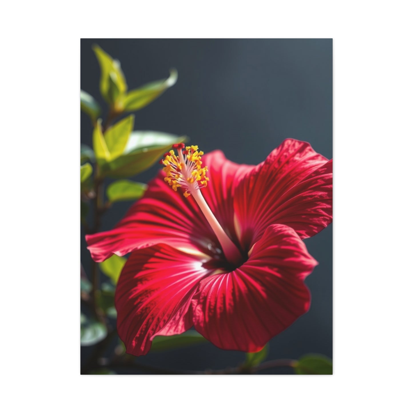 Hibiscus Flower Art Supreme Gallery Wall Art & Canvas Print