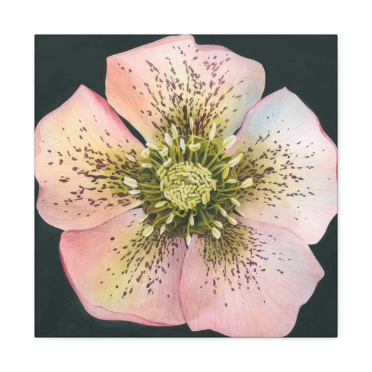 Grace Popp Flower Head Wall Art & Canvas Prints