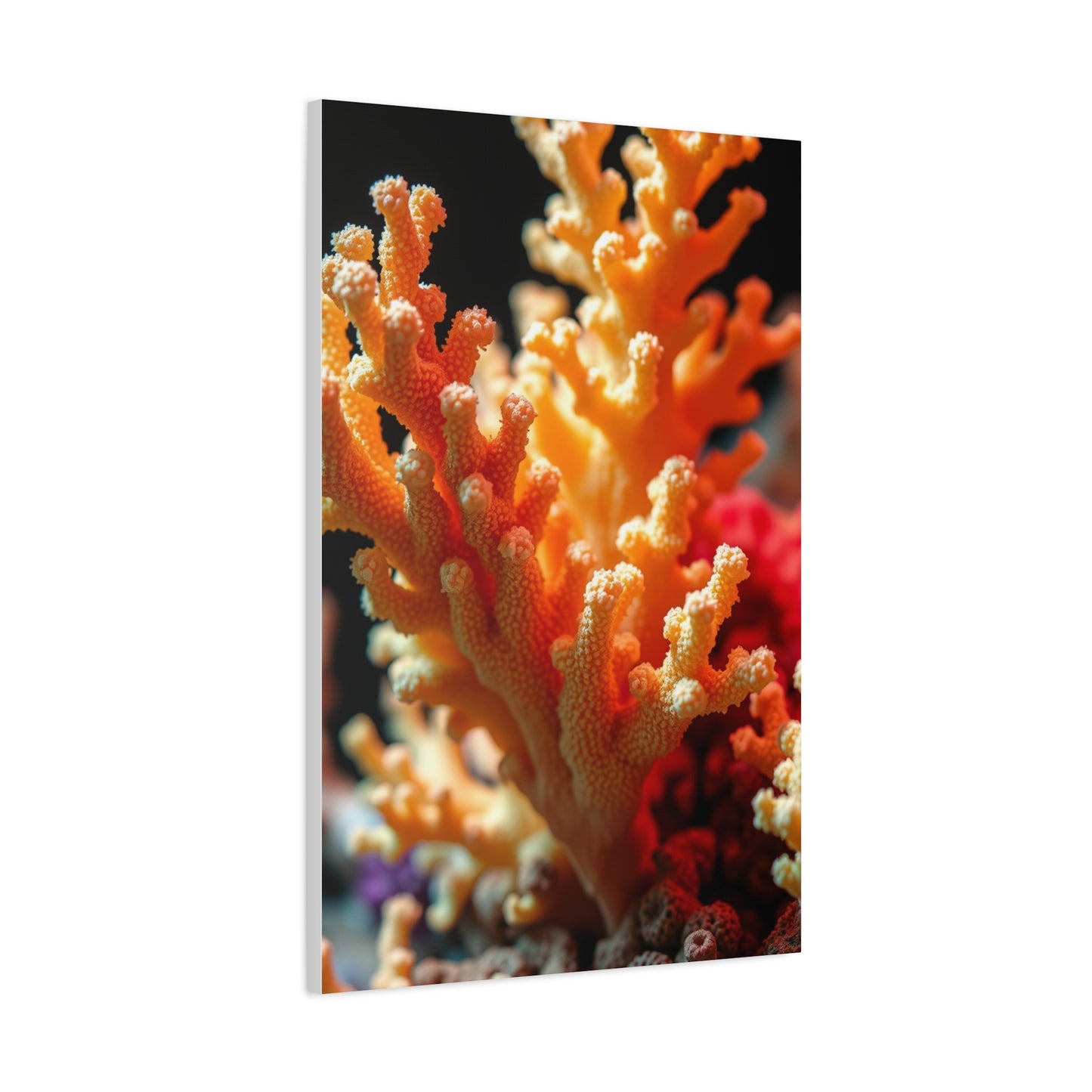 Elite Coral Art Vision Wall Art & Canvas Print
