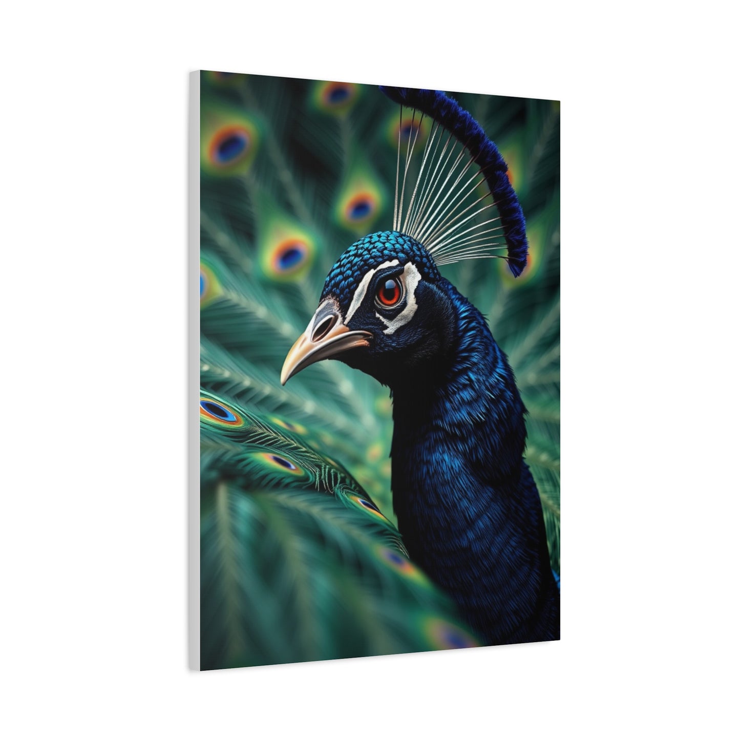 Peacock Art Refined Canvas Wall Art & Canvas Print