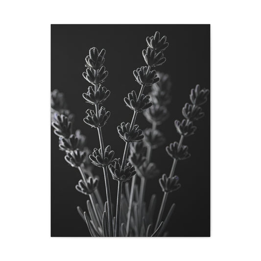Lavender Silhouette Study Wall Art & Canvas Prints