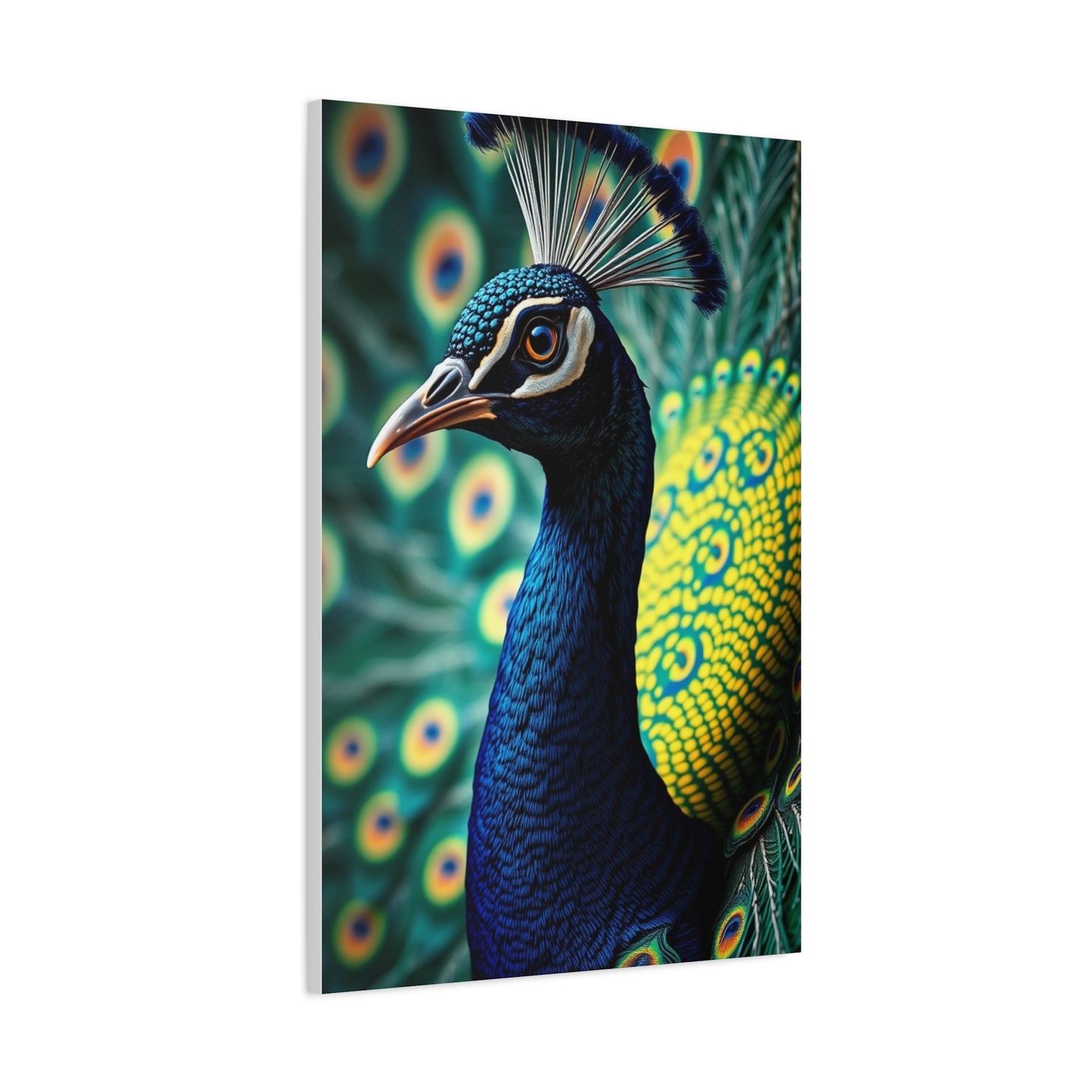 Elite Peacock Art Vision Wall Art & Canvas Print