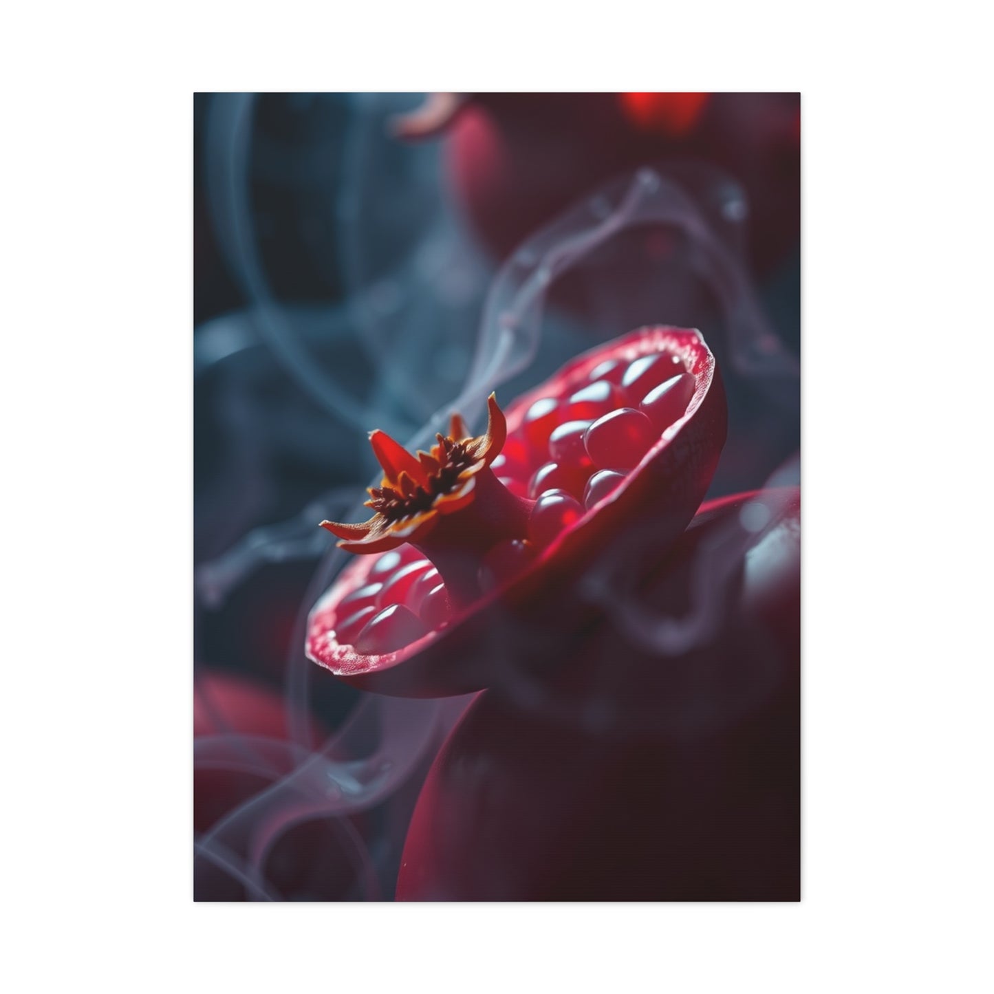 Masterpiece Pomegranate Noir Wall Art Vision Wall Art & Canvas Print