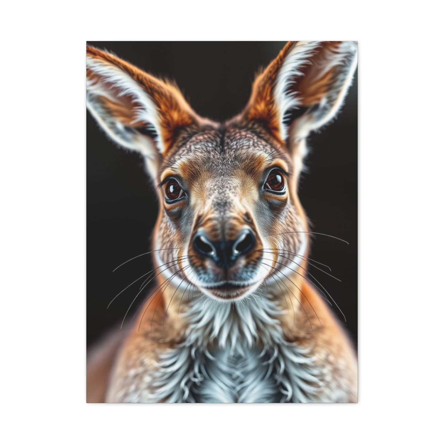 Kangaroo Art Supreme Gallery Wall Art & Canvas Print