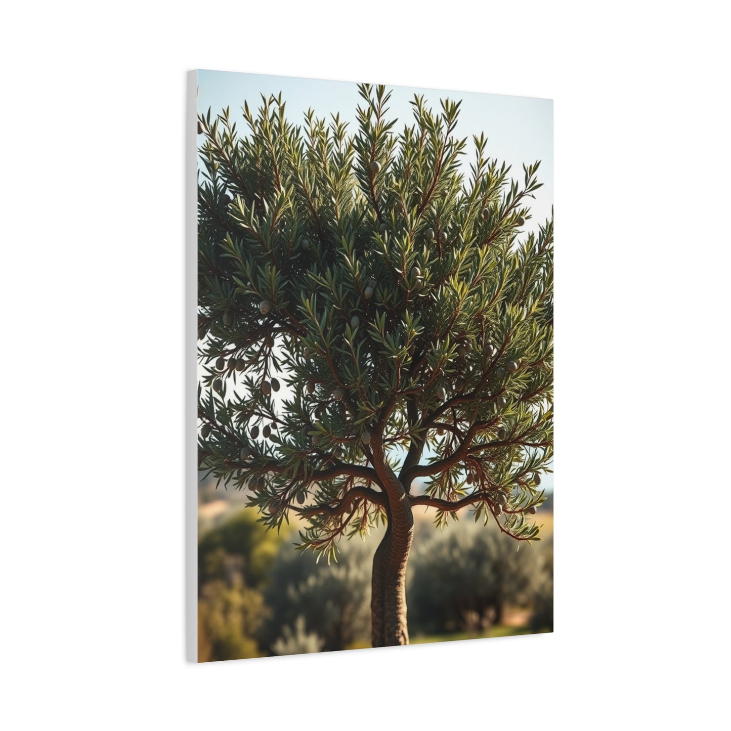 Supreme Olive Tree Art Collection Wall Art & Canvas Print