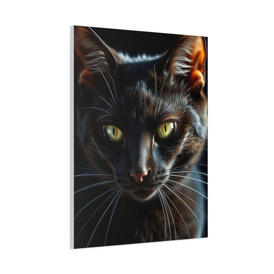Vision Black Cat Art Art Wall Art & Canvas Print