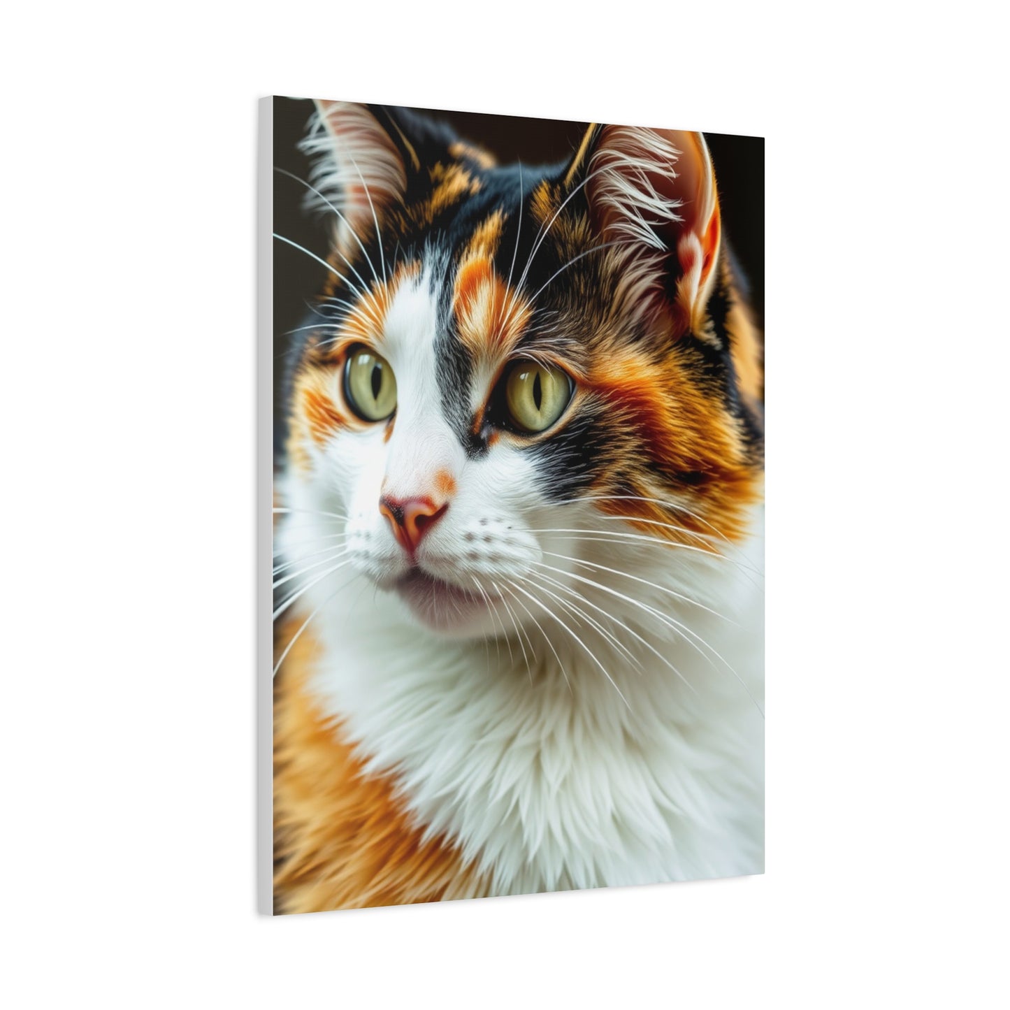 Elite Calico Cat Art Vision Wall Art & Canvas Print