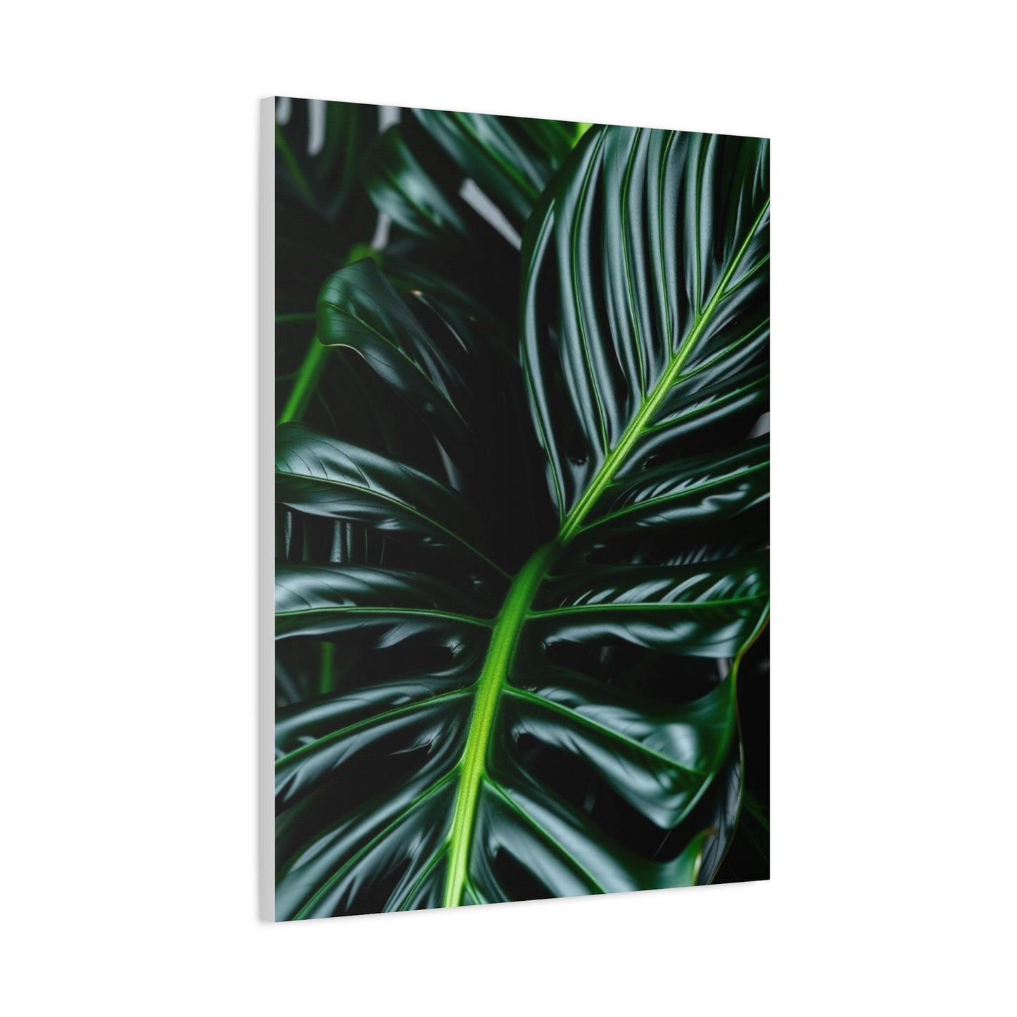 Monstera Plant Art Refined Canvas Wall Art & Canvas Print