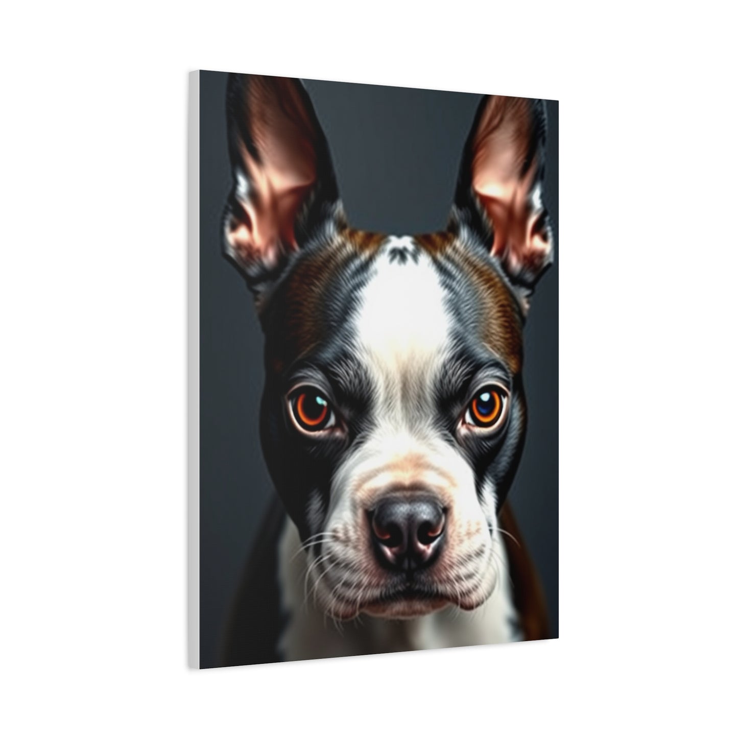 Supreme Boston Terrier Art Collection Wall Art & Canvas Print