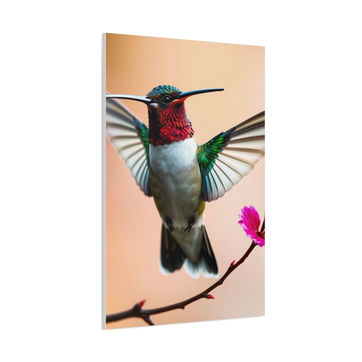 Elite Humming Bird Art Vision Wall Art & Canvas Print