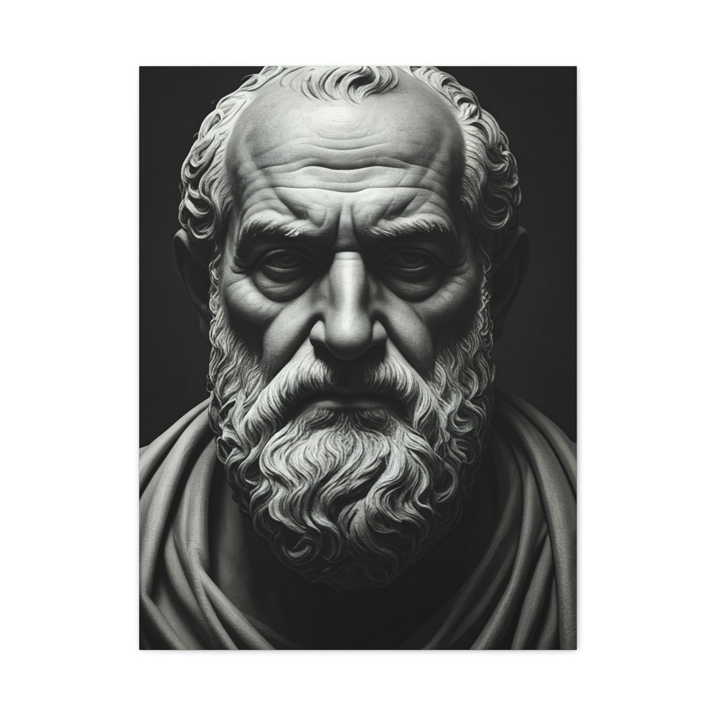 Timeless Wisdom Black & White Elder Portrait Wall Art & Canvas Prints