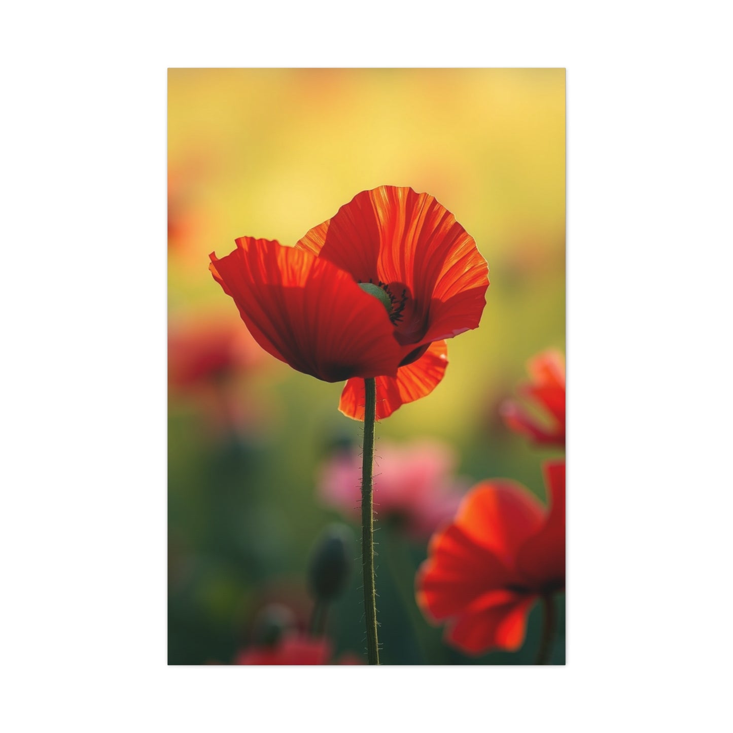Masterpiece Poppy Flower Art Vision Wall Art & Canvas Print
