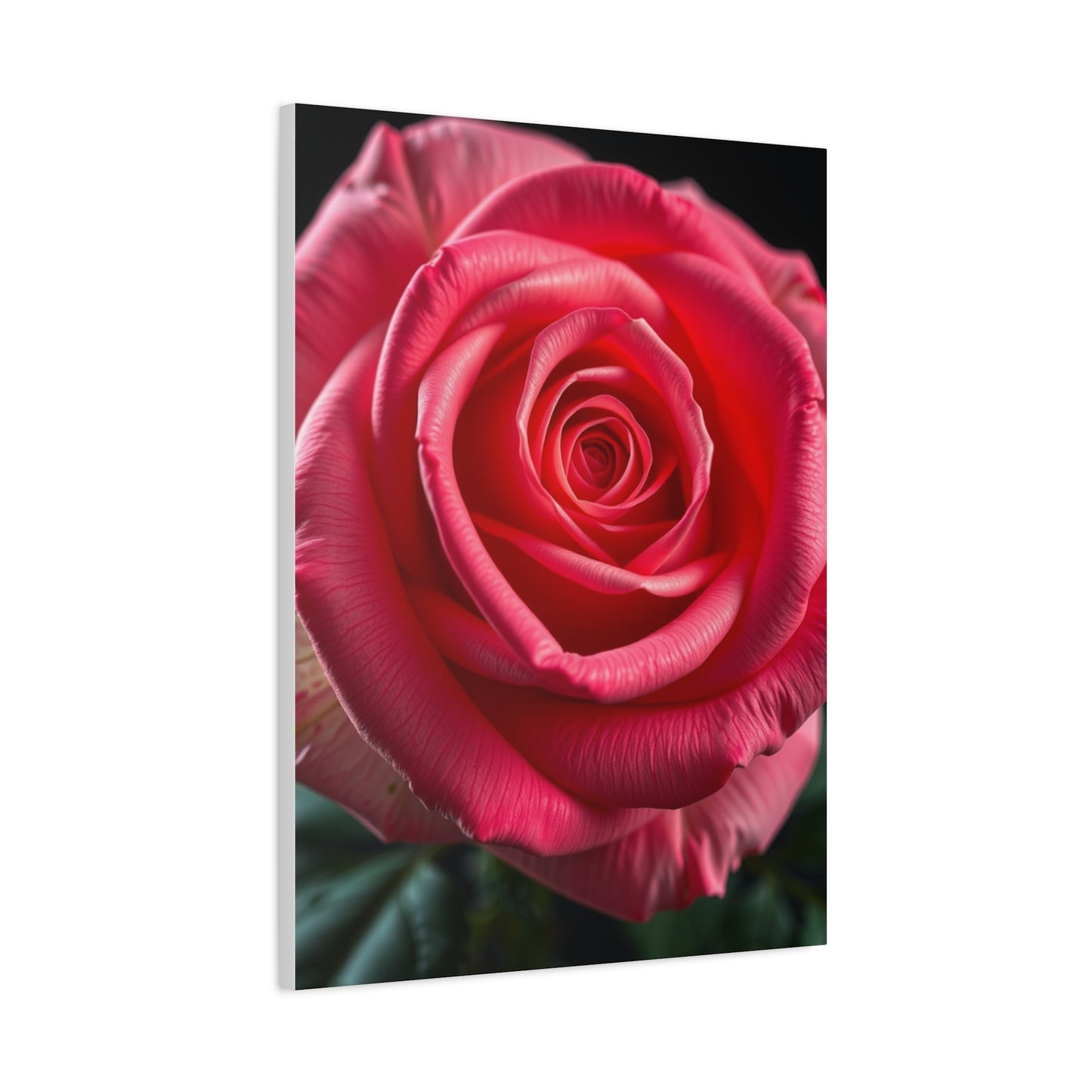 Supreme Rose Art Collection Wall Art & Canvas Print