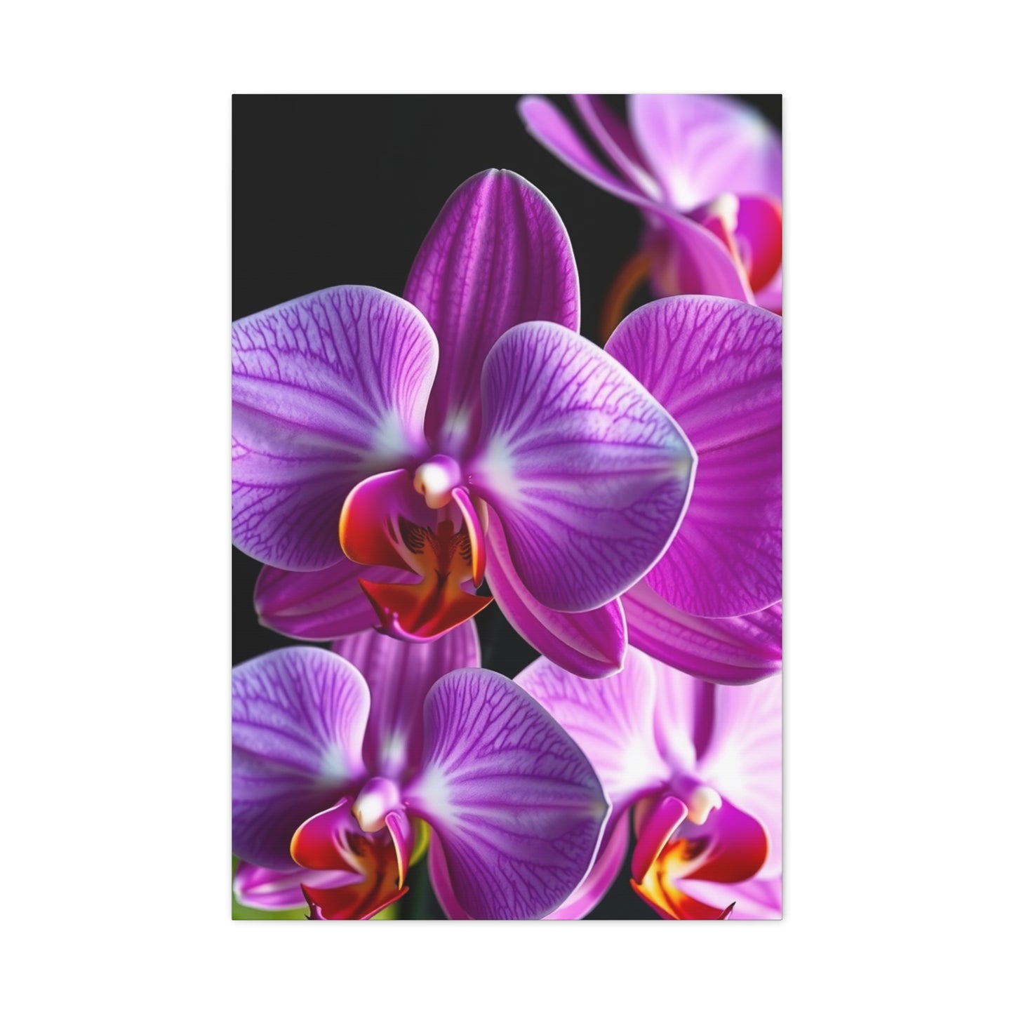 Elite Orchid Flower Art Vision Wall Art & Canvas Print
