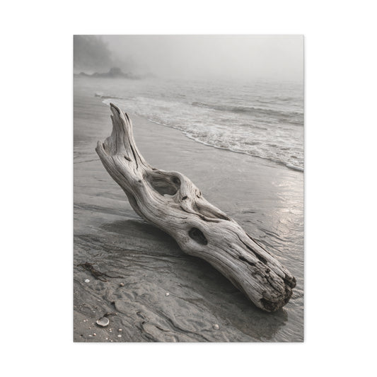 Driftwood Coastal Minimal Wall Art & Canvas Print