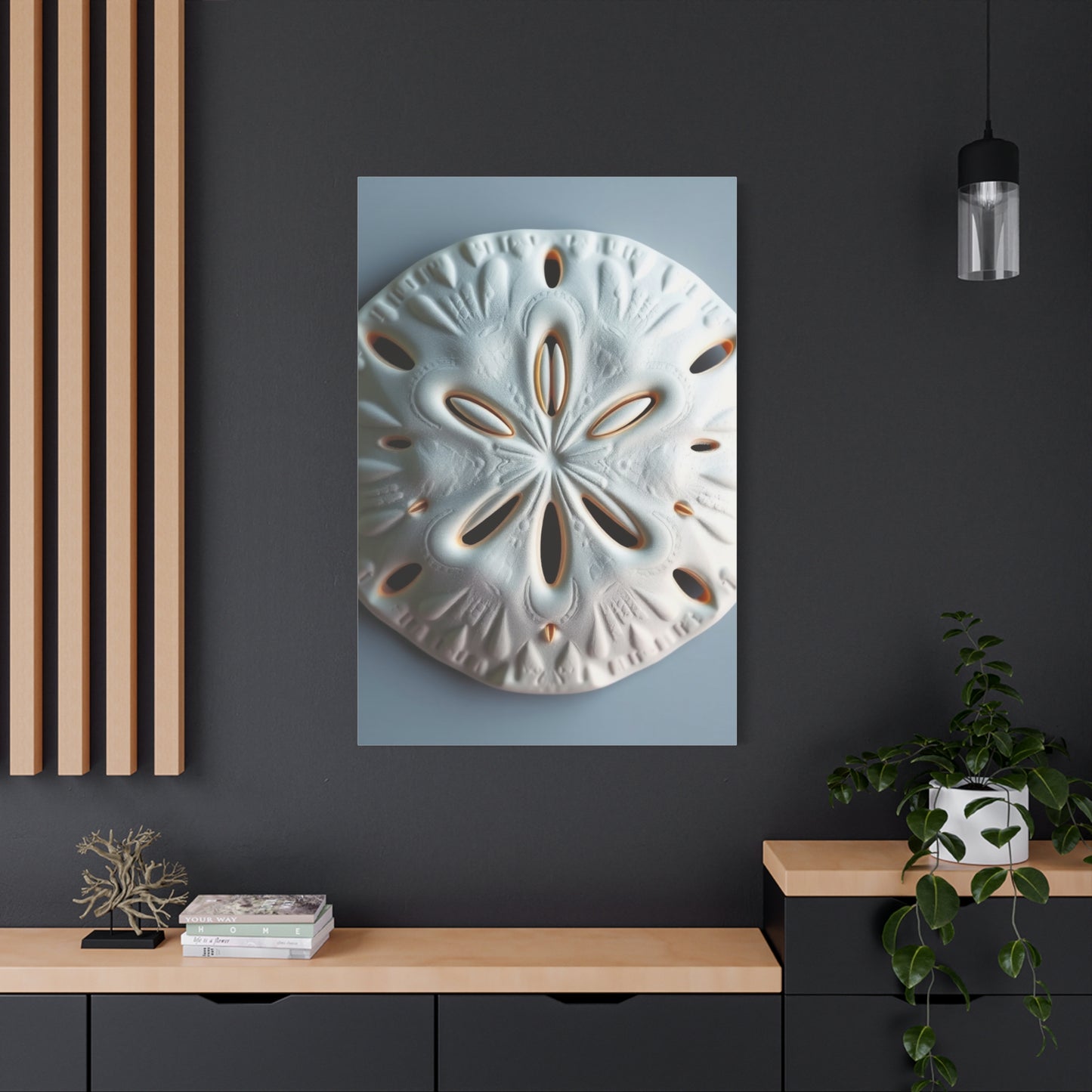 Supreme Sand Dollar Art Collection Wall Art & Canvas Print