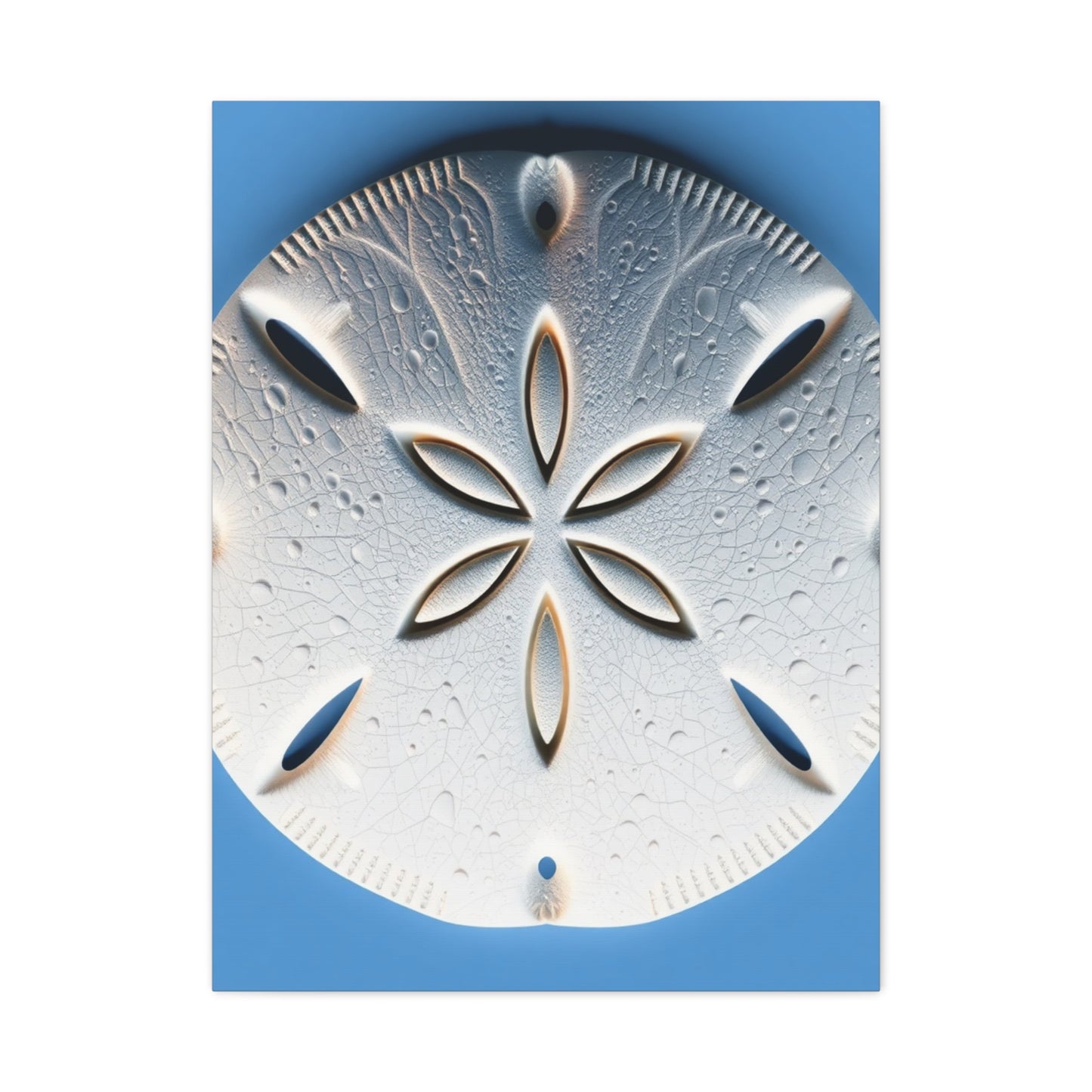 Sand Dollar Art Supreme Gallery Wall Art & Canvas Print