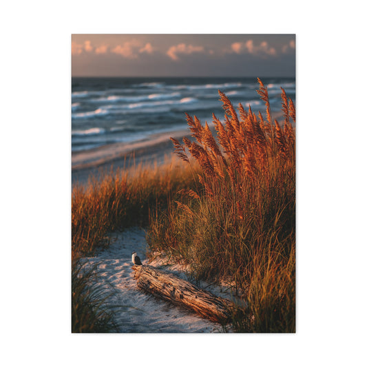 Golden Dune Driftwood Coastal Scene Wall Art & Canvas Print