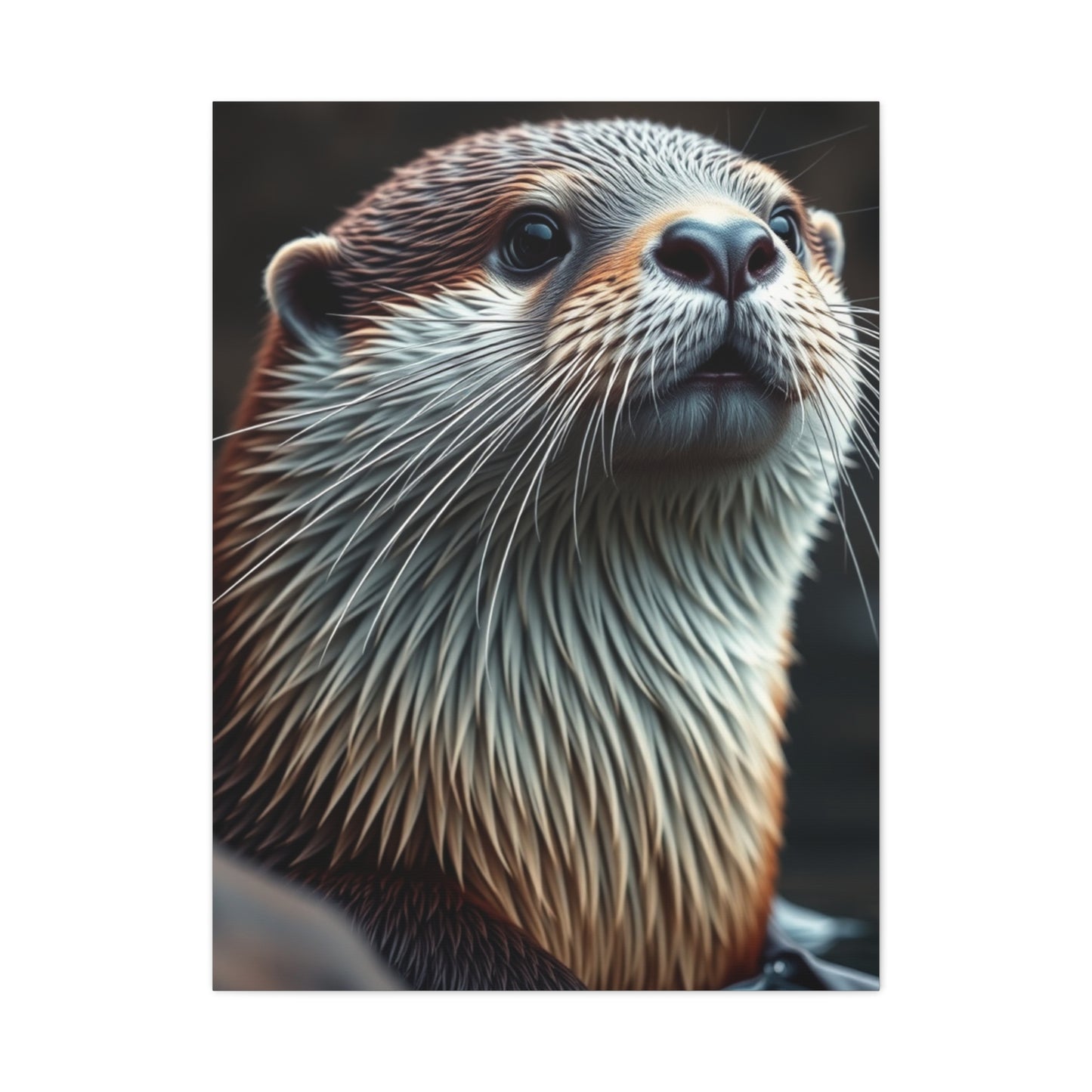 Supreme Otter Art Collection Wall Art & Canvas Print