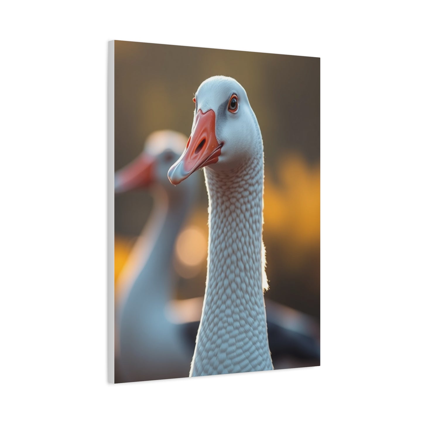 Goose Art Luxury Canvas Wall Art & Canvas Print