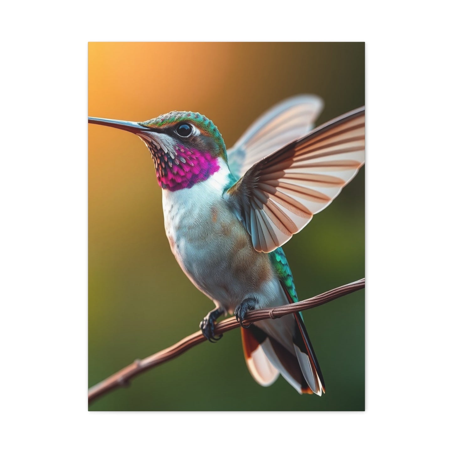 Humming Bird Art Supreme Gallery Wall Art & Canvas Print