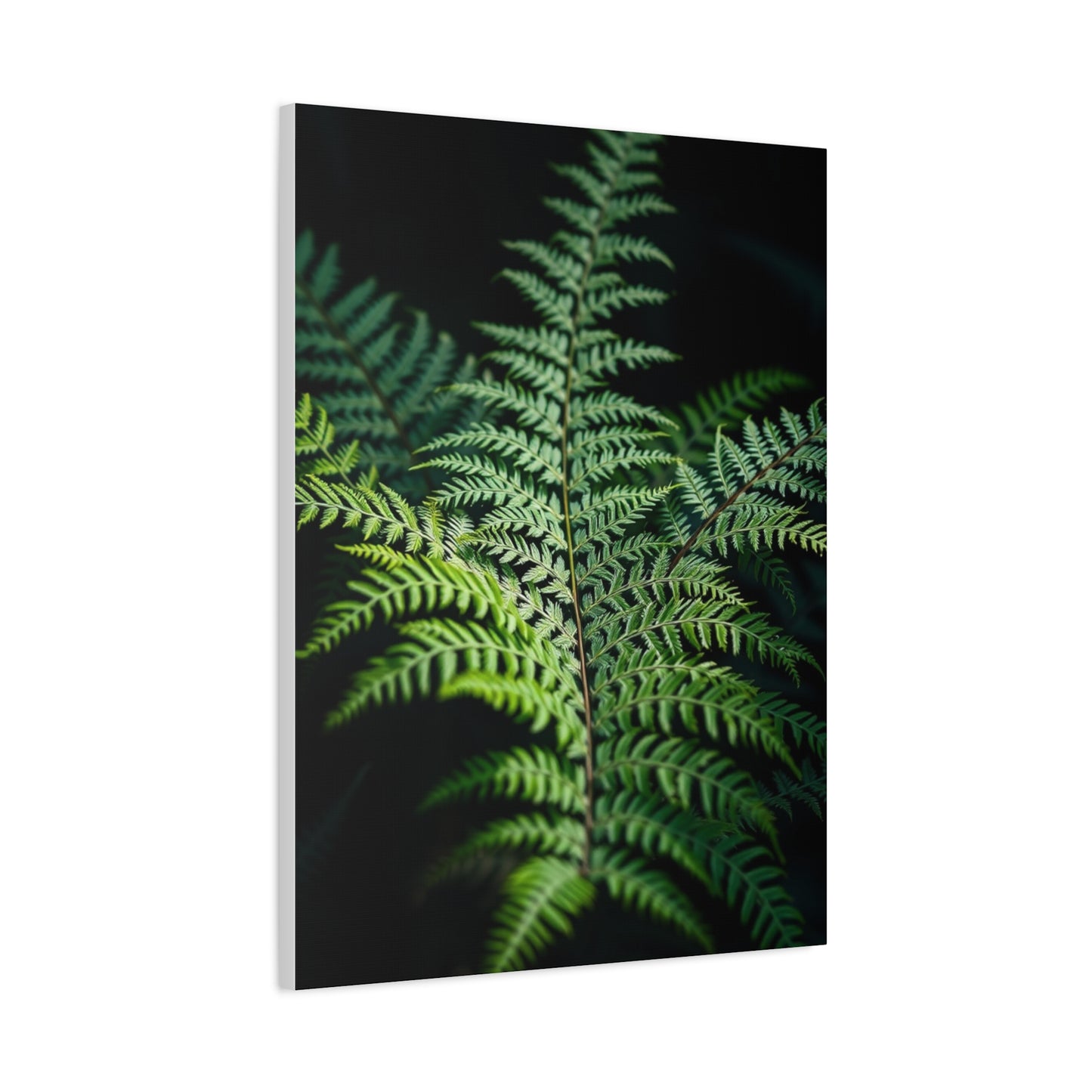 Fern Art Refined Canvas Wall Art & Canvas Print