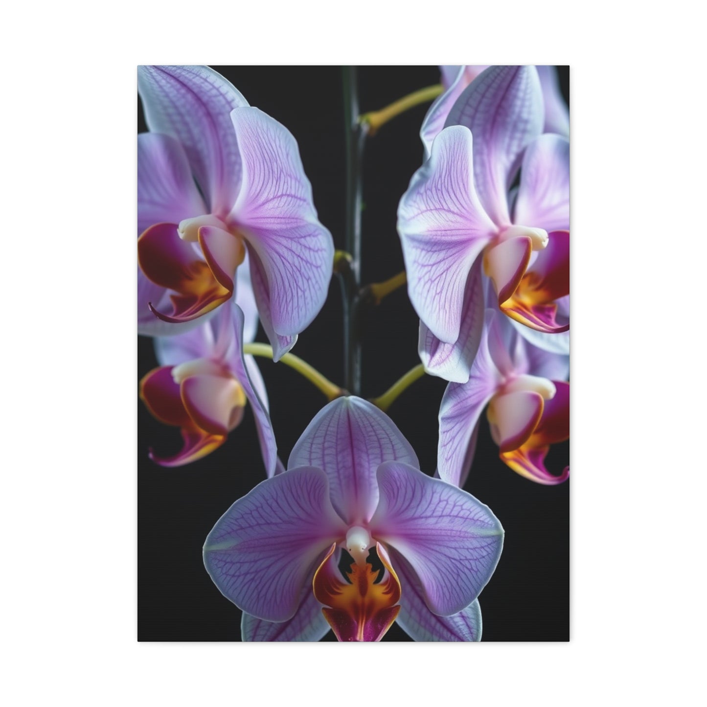 Supreme Orchid Flower Art Collection Wall Art & Canvas Print