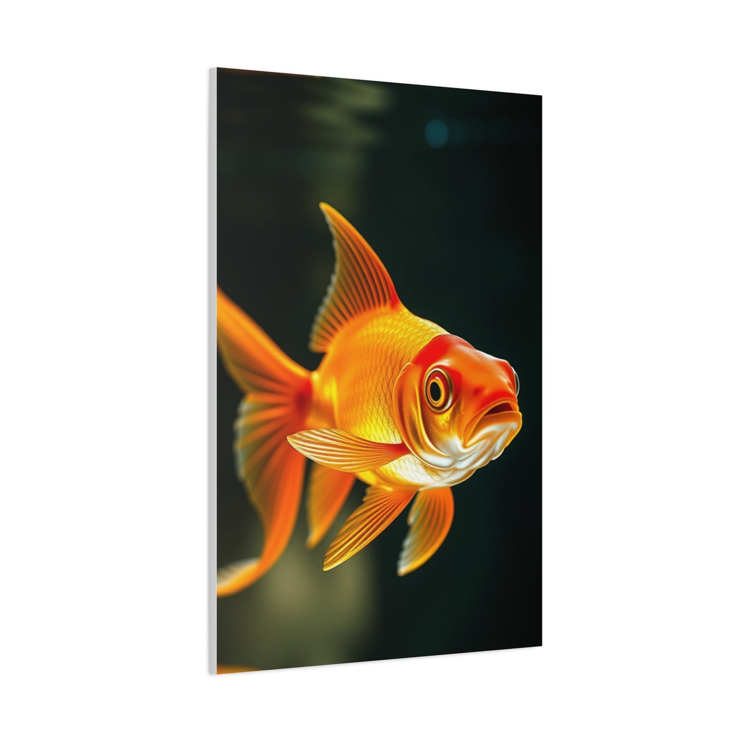 Goldfish Art Supreme Gallery Wall Art & Canvas Print