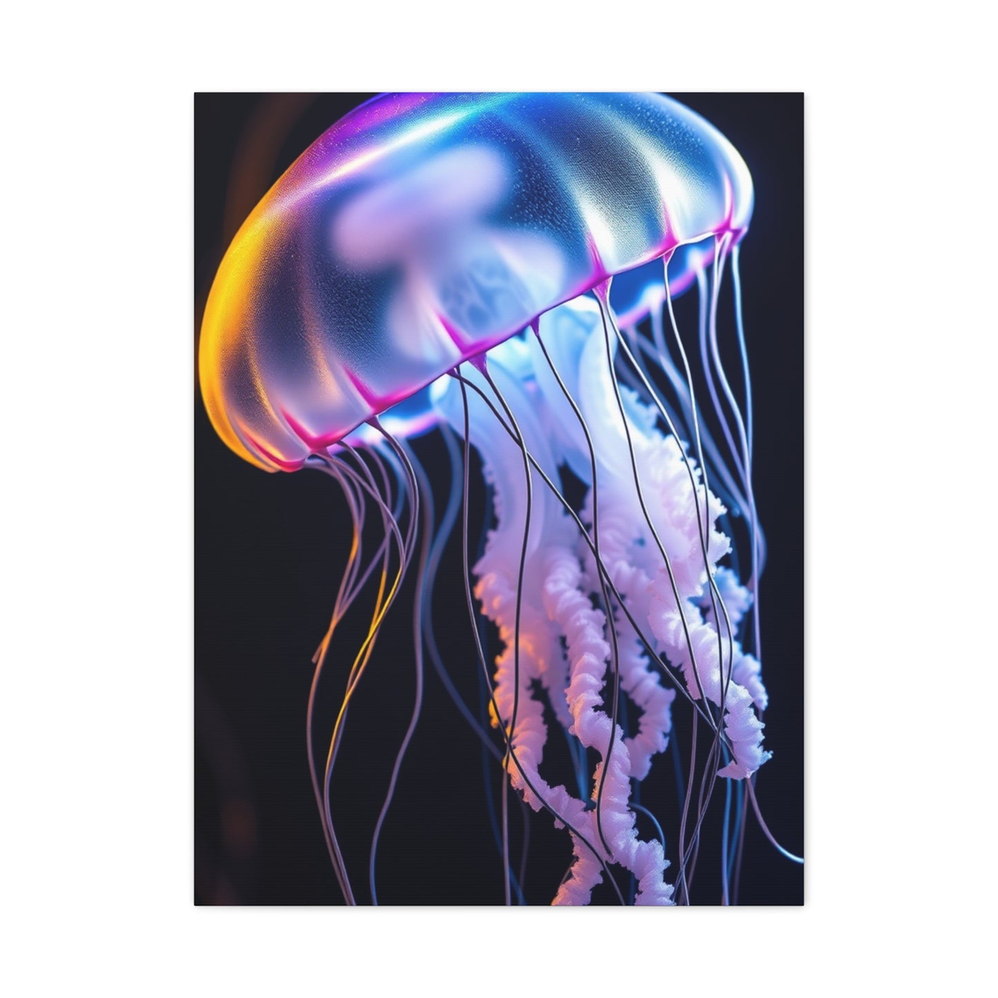 Collection Jellyfish Art Art Wall Art & Canvas Print