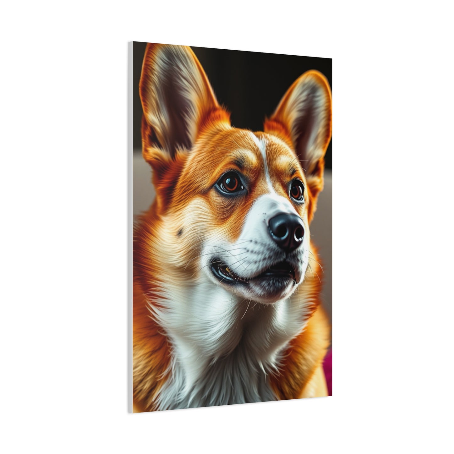 Supreme Corgi Dog Art Collection Wall Art & Canvas Print