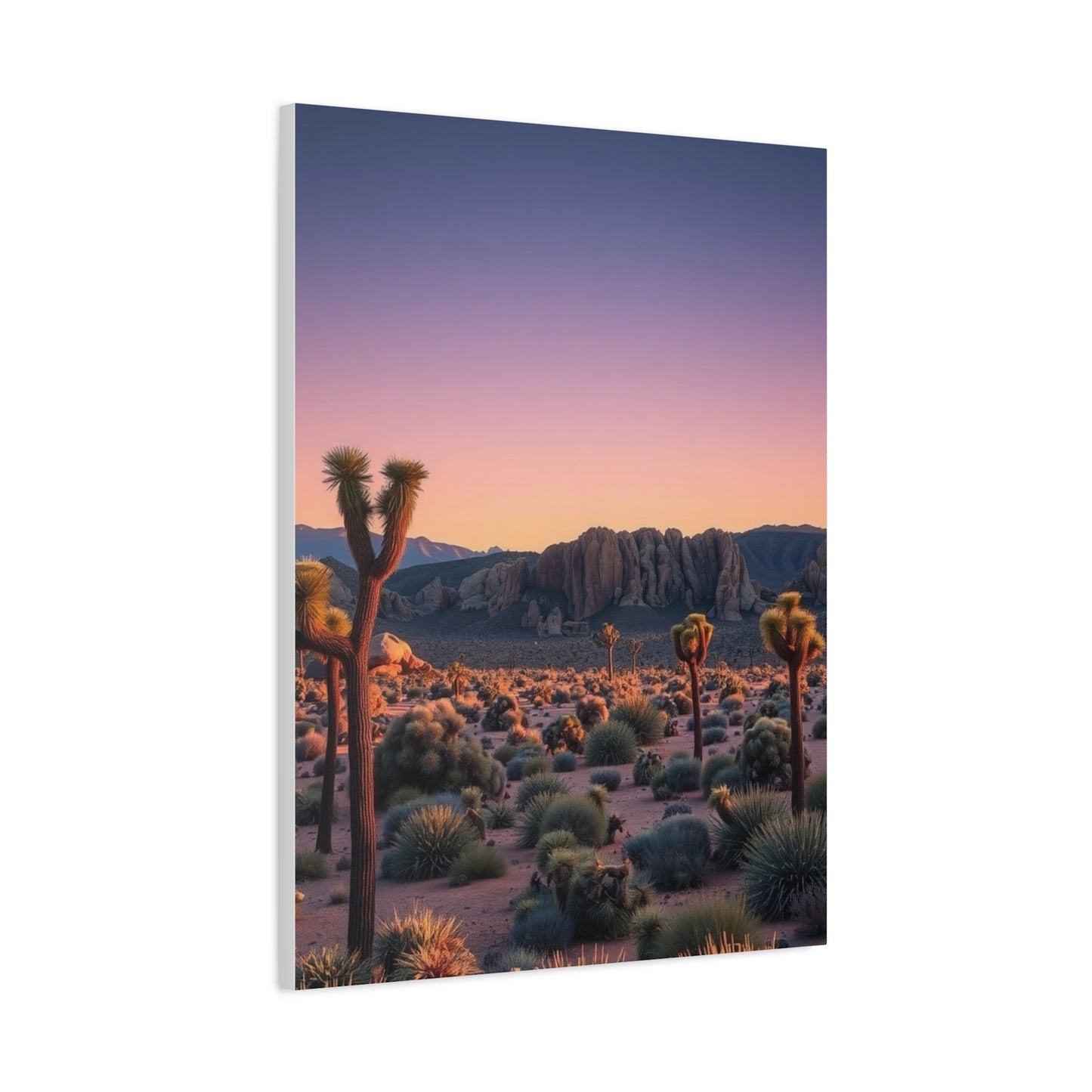 Joshua Tree National Park Art Supreme Gallery Wall Art & Canvas Print