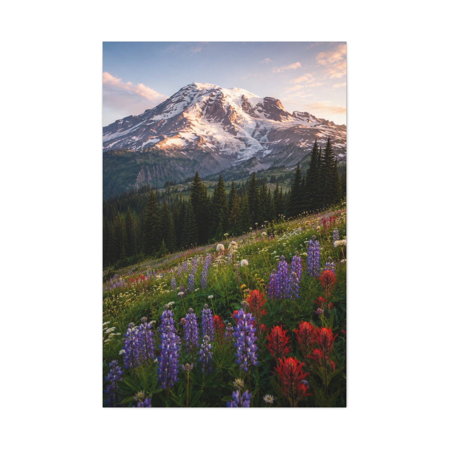 Mount Rainier Wildflower Meadow Wall Art & Canvas Print
