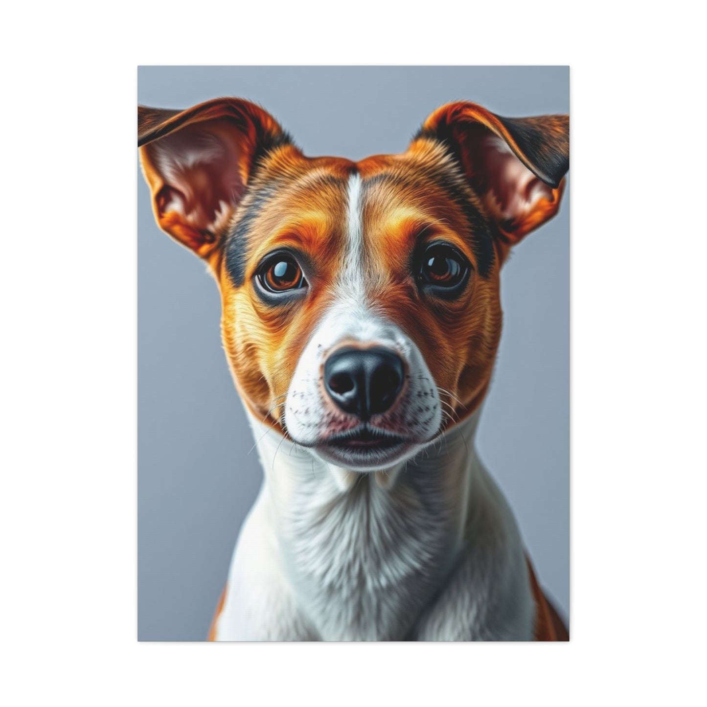Jack Russell Terrier Art Supreme Gallery Wall Art & Canvas Print