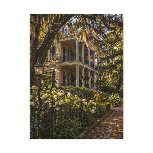 Garden District Mansion Under Live Oaks Wall Art & Canvas Print