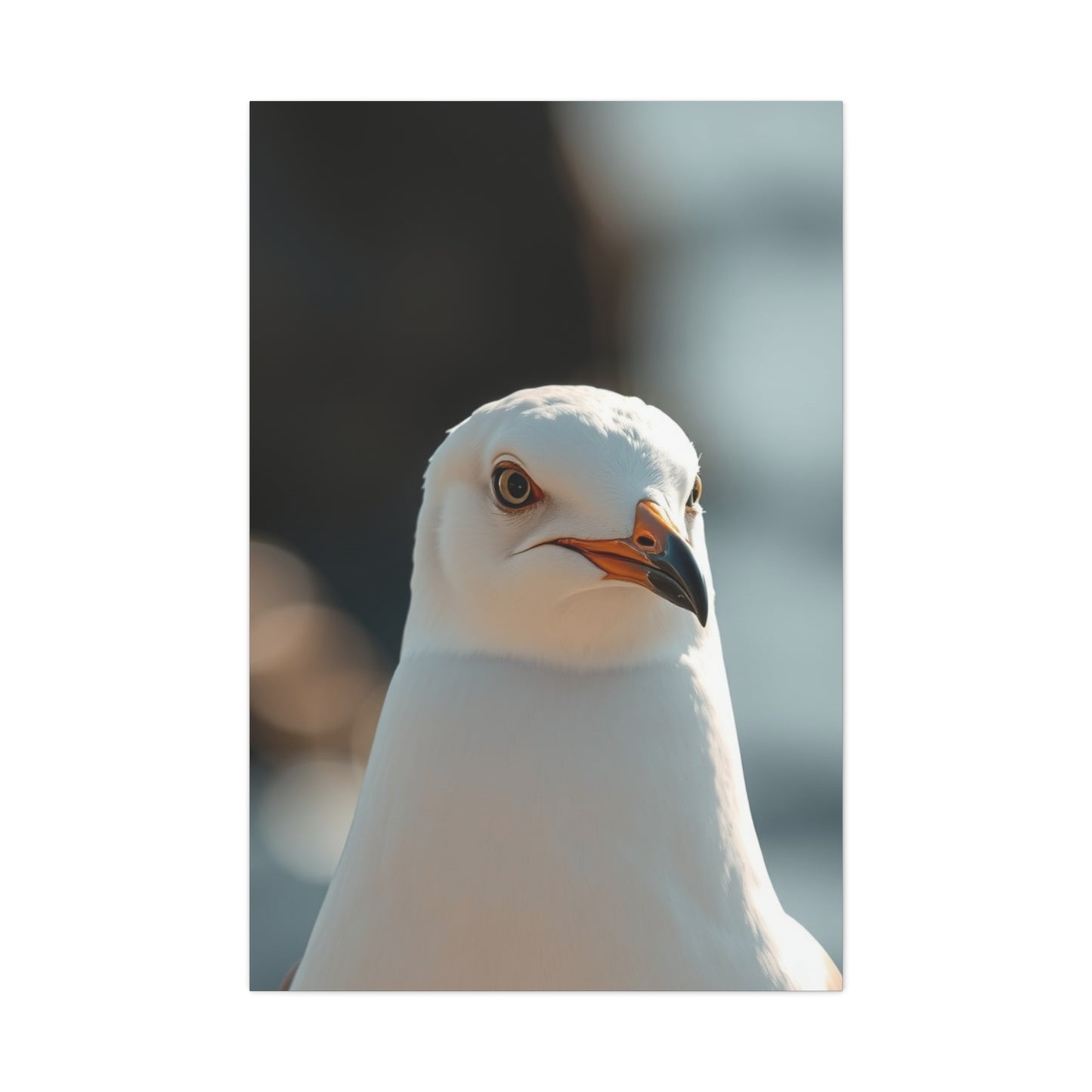 Sea Gull Art Supreme Gallery Wall Art & Canvas Print