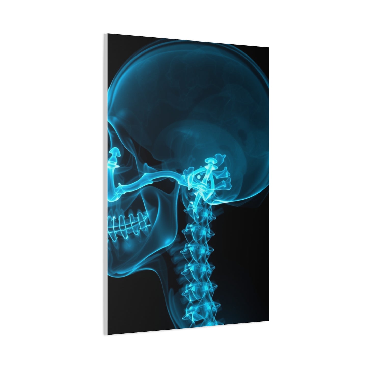 Masterpiece X-Ray Photography Art Vision Wall Art & Canvas Print