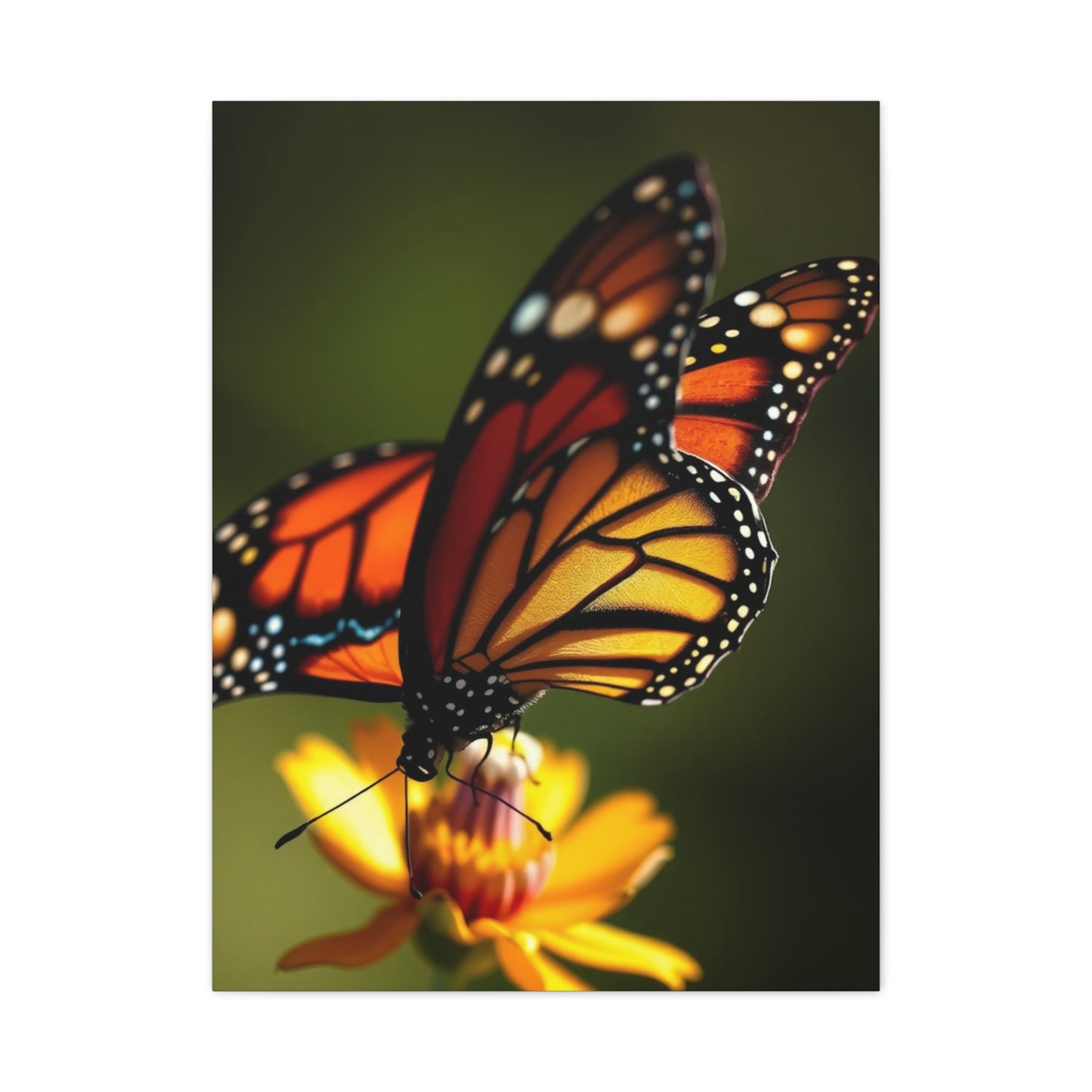 Supreme Monarch Butterflies Art Collection Wall Art & Canvas Print