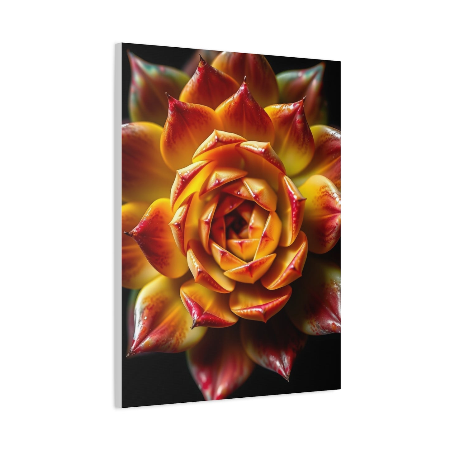 Supreme Succulent Art Collection Wall Art & Canvas Print