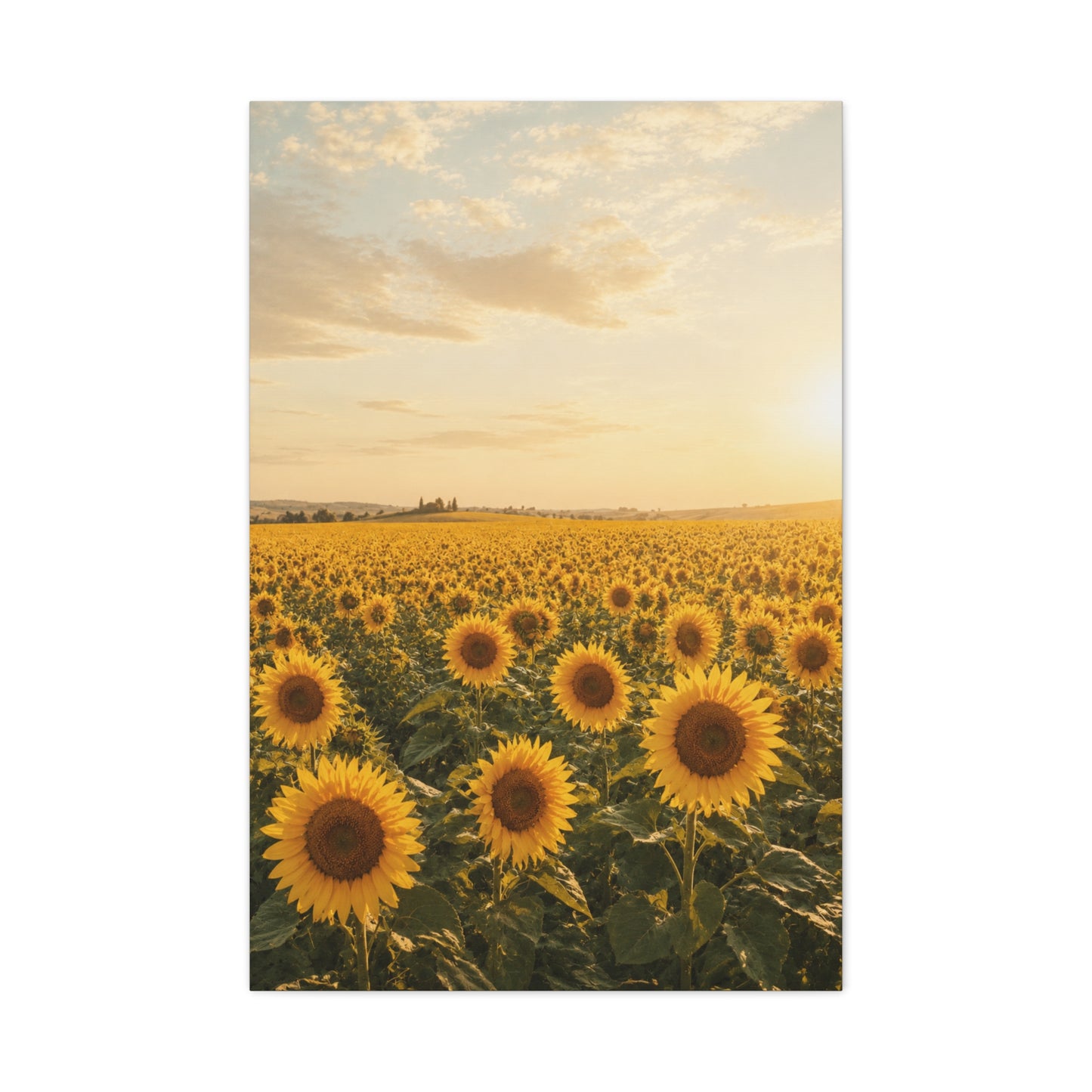 Golden Sunflower Field Horizon Landscape Wall Art & Canvas Print