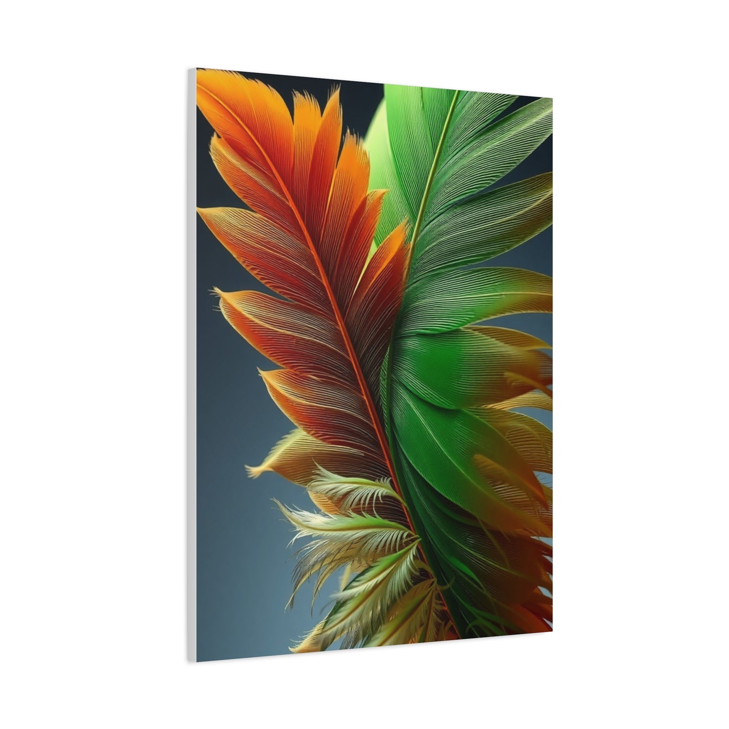 Supreme Feather Art Collection Wall Art & Canvas Print