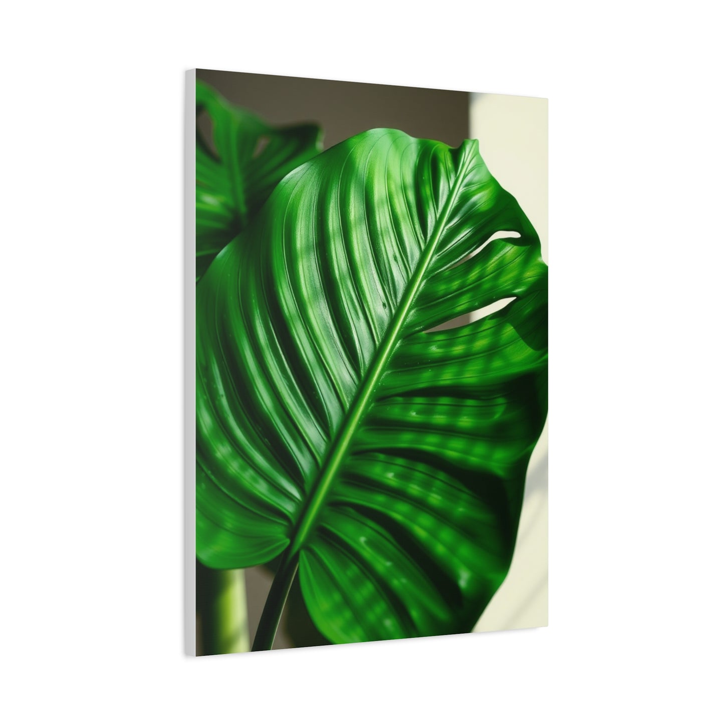 Supreme Monstera Plant Art Collection Wall Art & Canvas Print