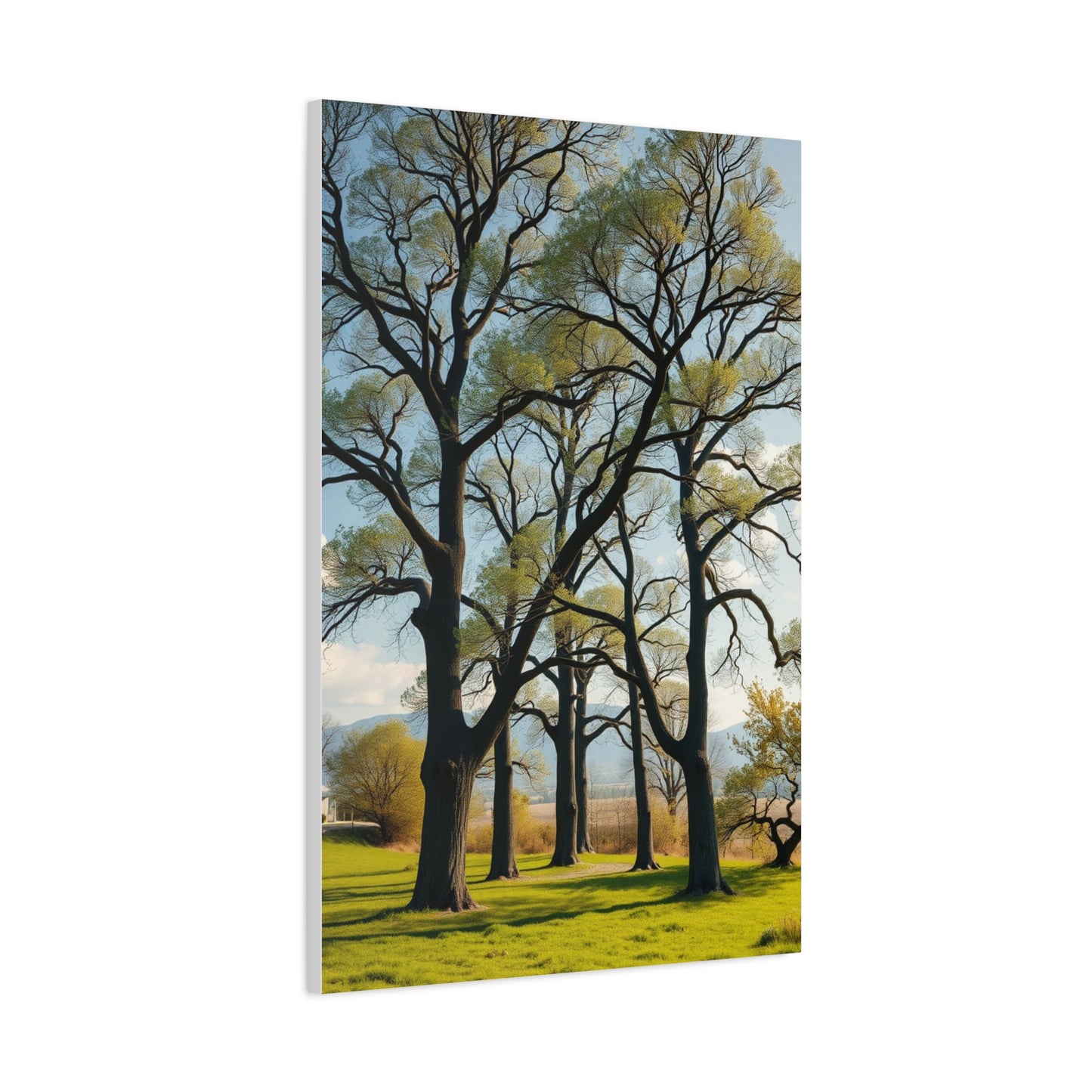 Masterpiece Trees Wall Art Vision Wall Art & Canvas Print
