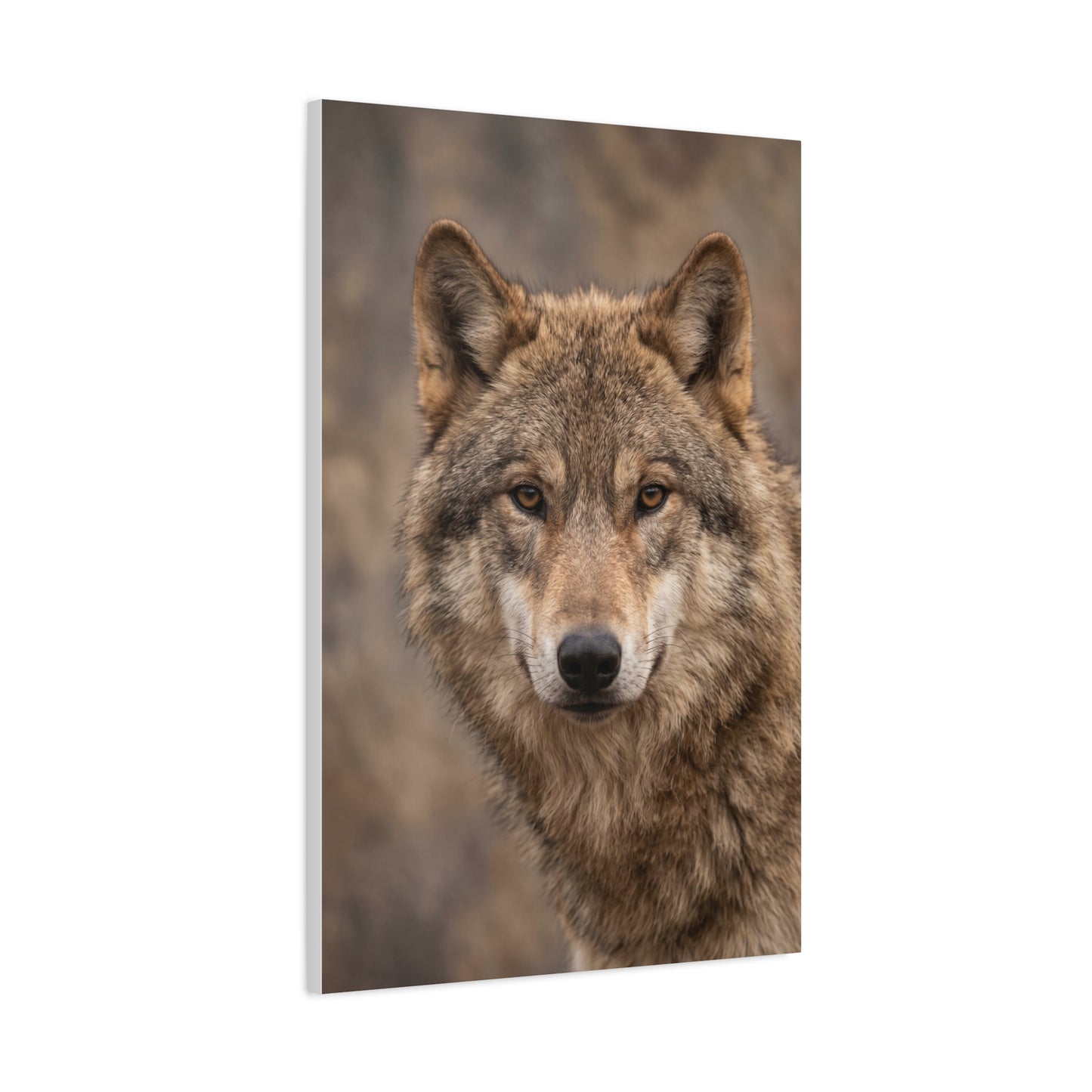 Natural Gray Wolf Close Portrait Wall Art & Canvas Print